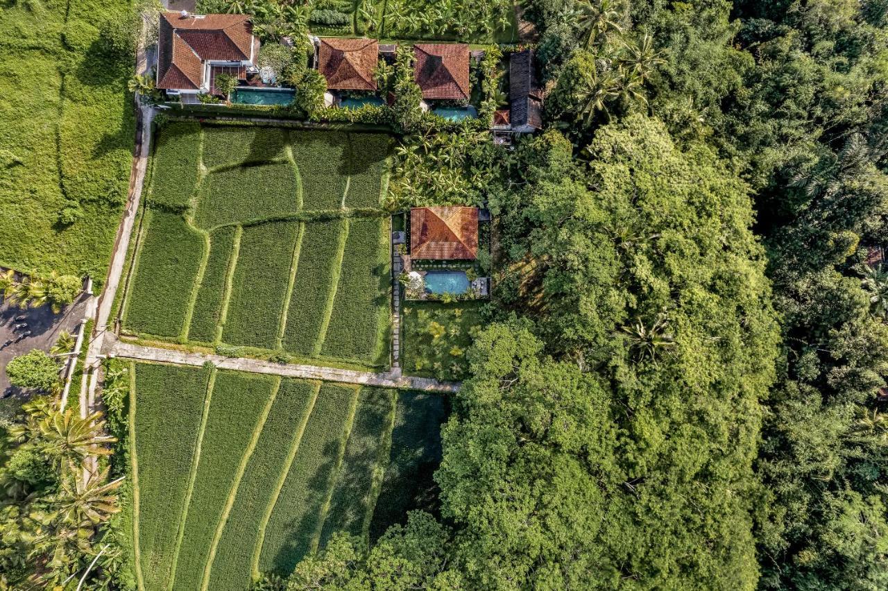 Ratni Ubud Villa Exterior foto